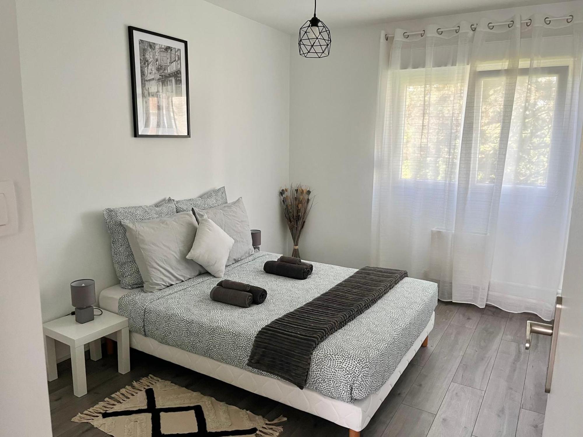 Appartement Renove - Vandoeuvre Les Nancy Exterior foto